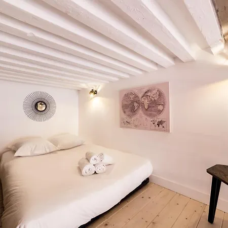 Duplex On The Slopes Of Croix-rousse Ail Appartamento Lione