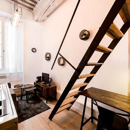 Duplex Dans Les Pentes De La Croix-rousse Ail Apartament