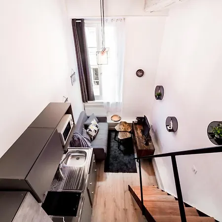 Duplex On The Slopes Of Croix-rousse Ail * Lyon